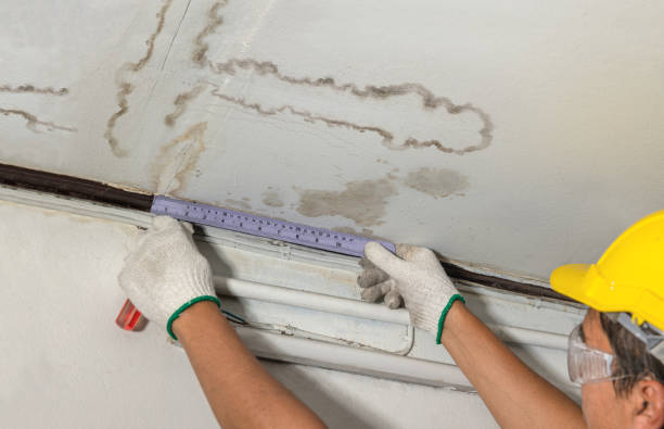 Reliable Basement Water Removal contractor in Pantego, TX by Water Damage Irwin